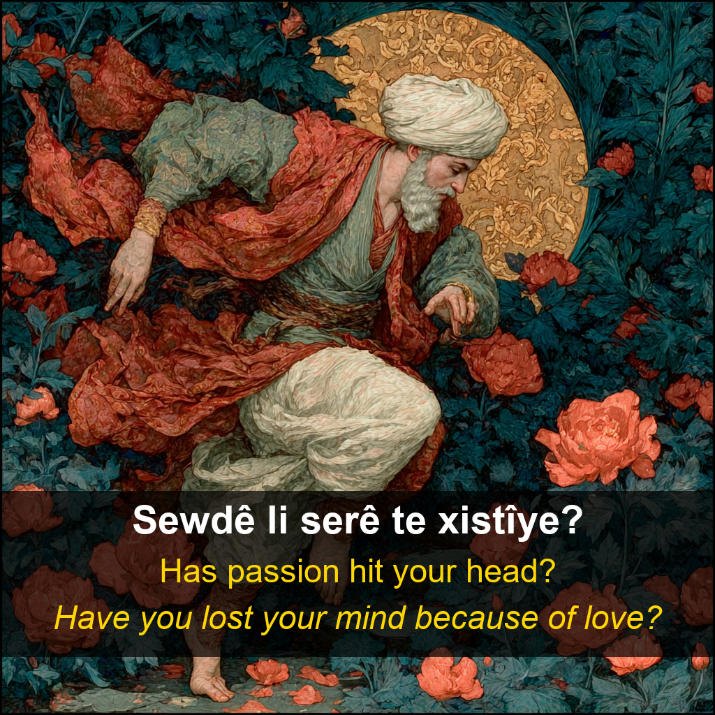 Afrini proverb card — Sewdê li s…