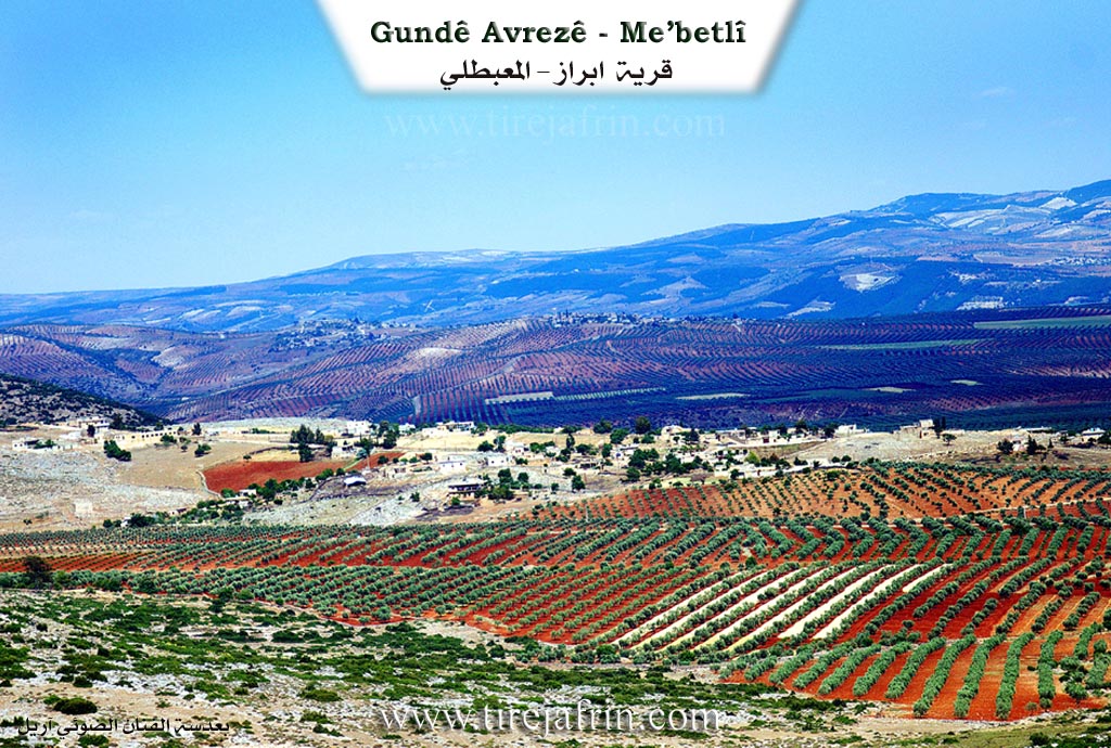 Photo of Avraz