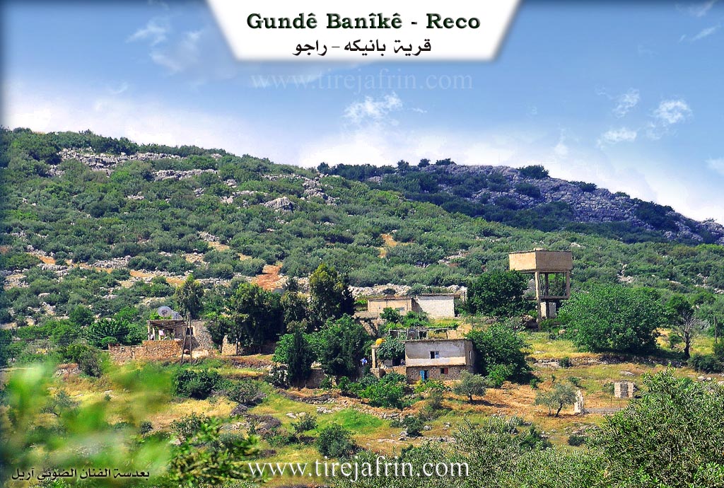 Photo of Banîkê