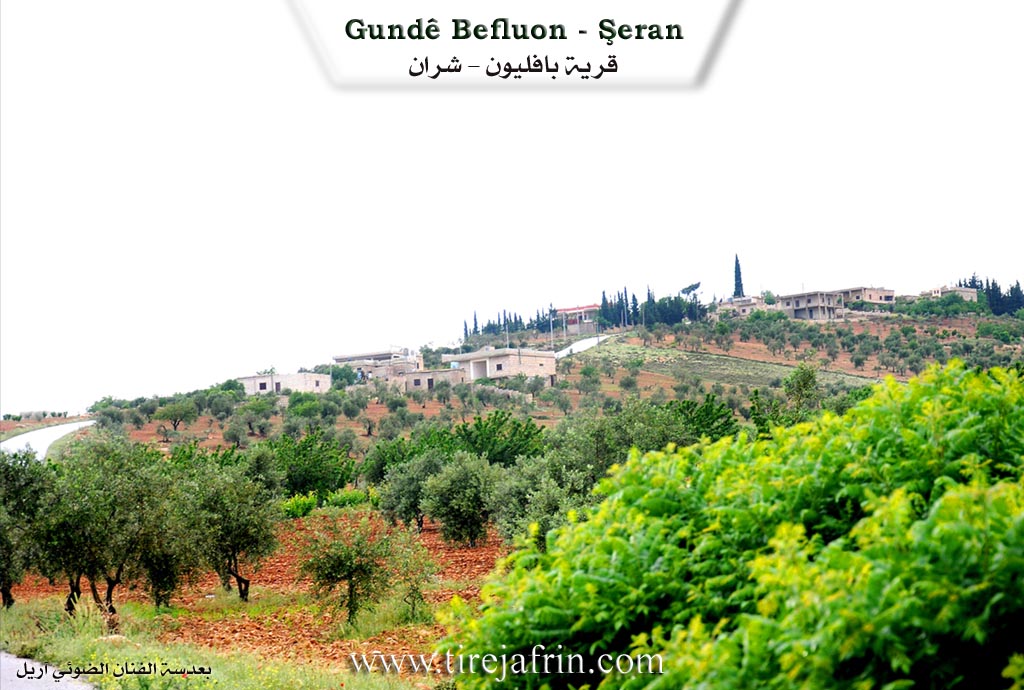 Photo of Baflûnê