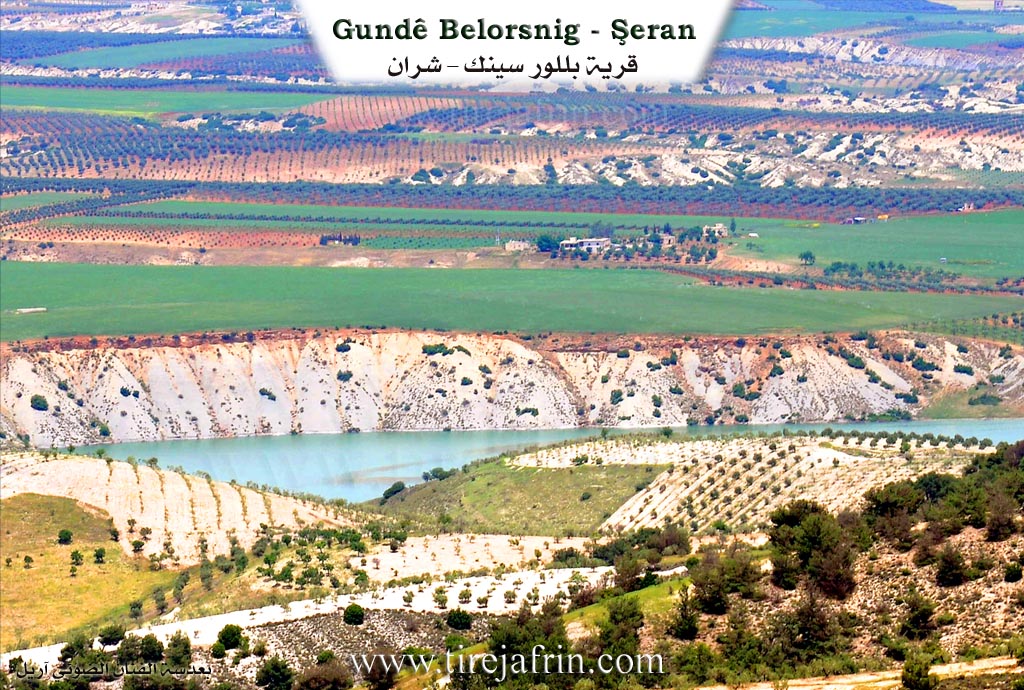 Photo of Pelûsankê