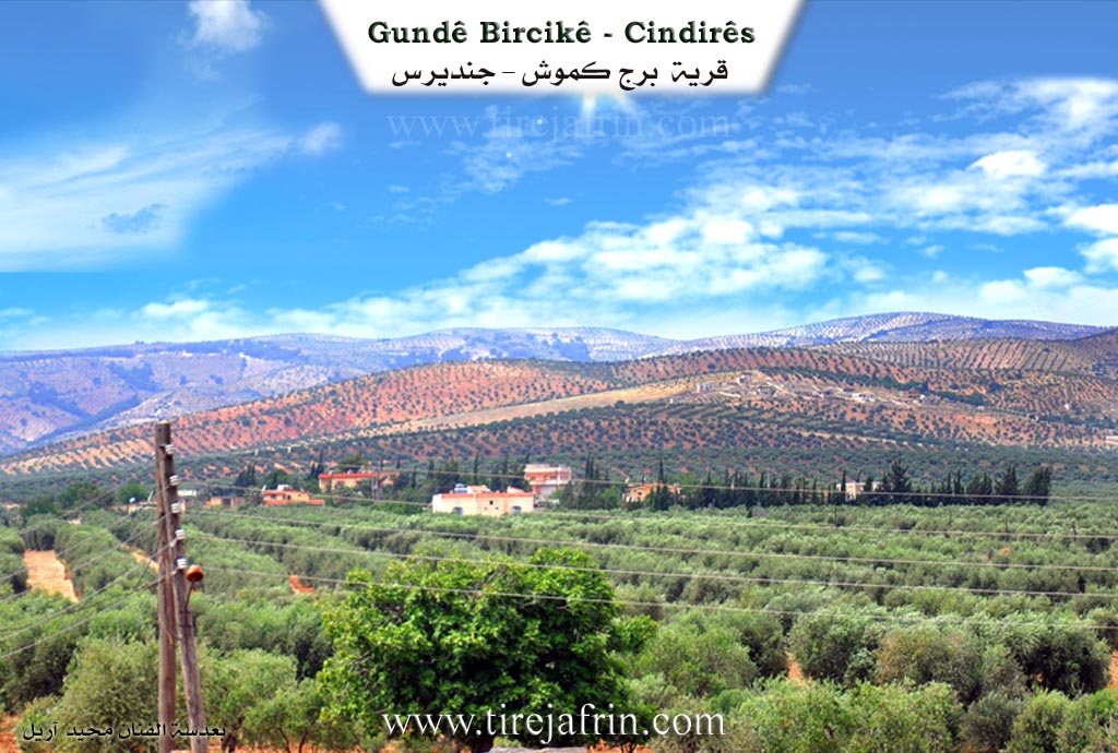 Photo of Bircikê