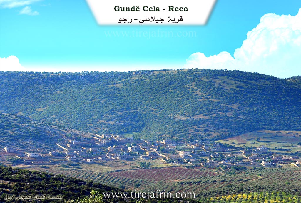 Photo of Cela