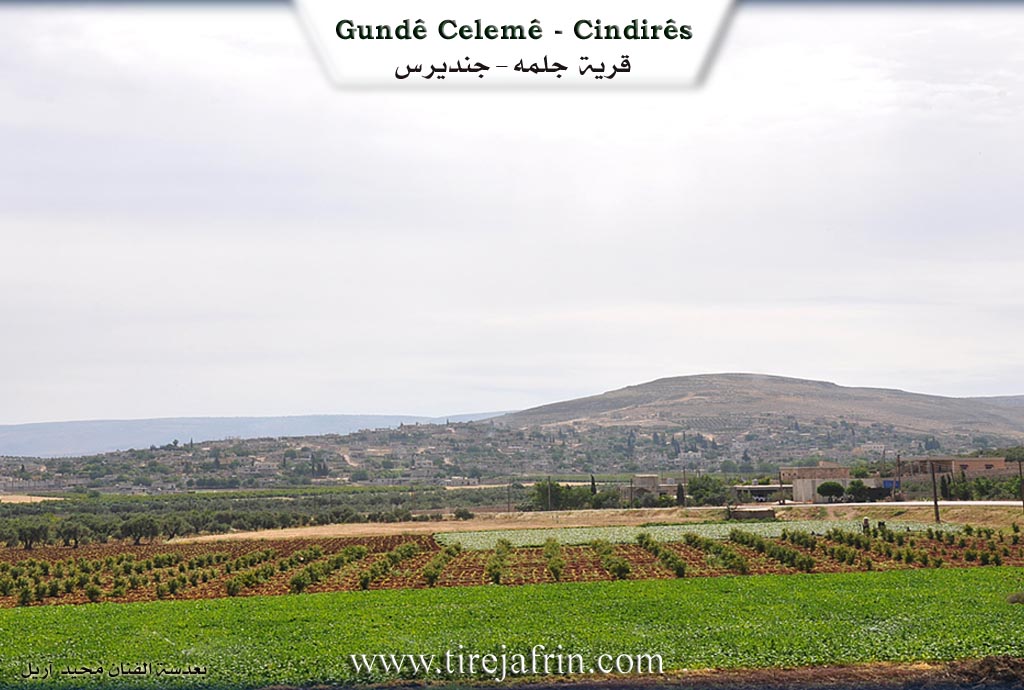 Photo of Celemê
