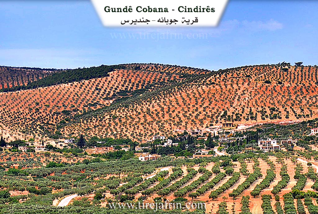 Photo of Çobana - Reco
