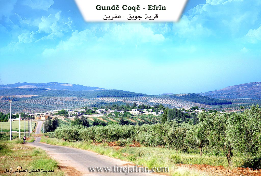 Photo of Coqê