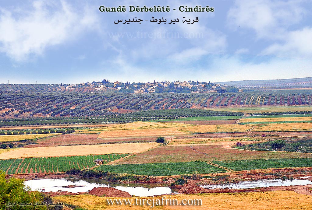 Photo of Dêrbelûtê