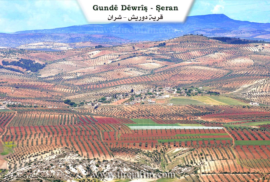 Photo of Dewrîş