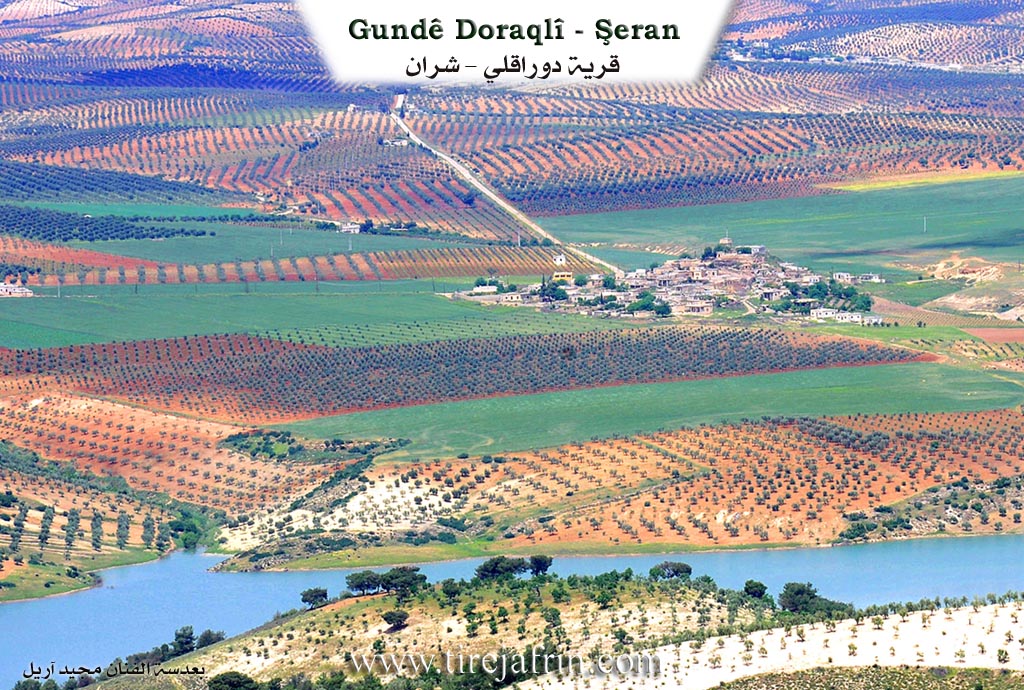 Photo of Diraqliya