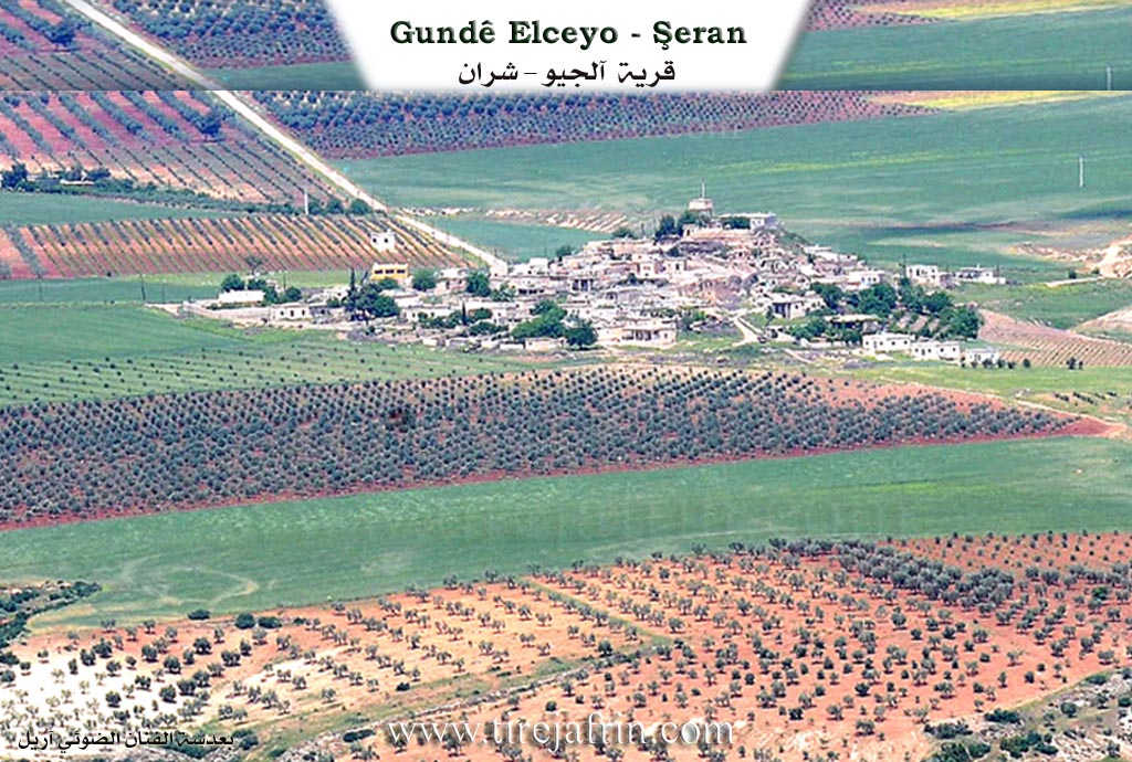 Photo of Alciya