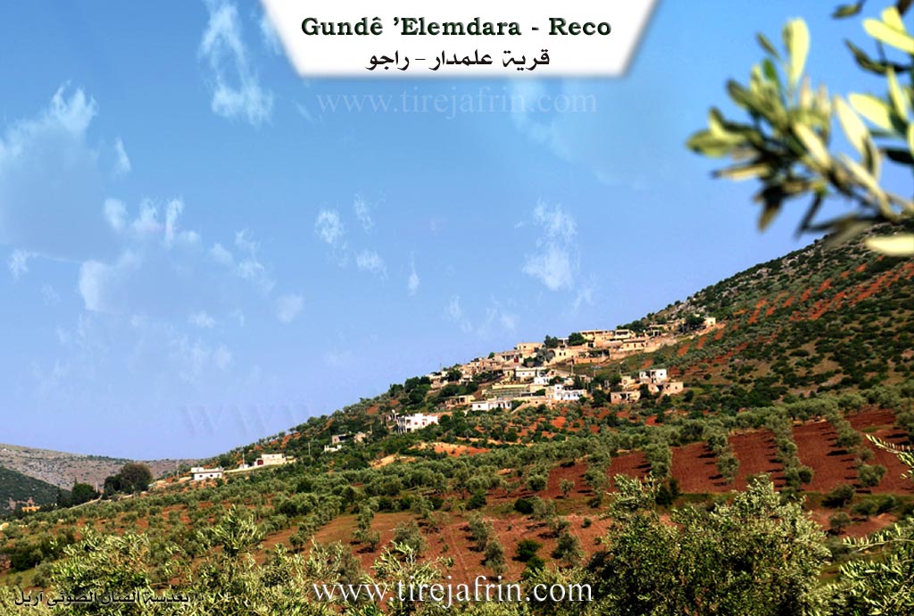 Photo of Elendara