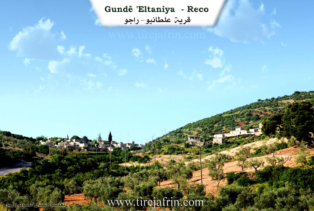 Photo of Eltaniya