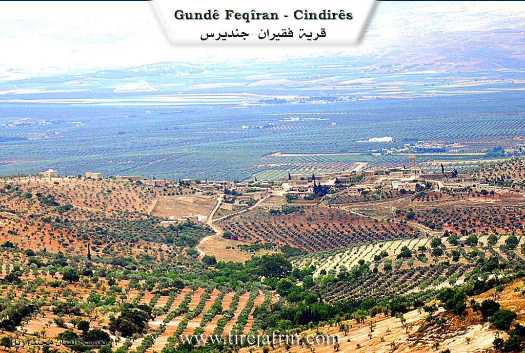 Photo of Feqîra