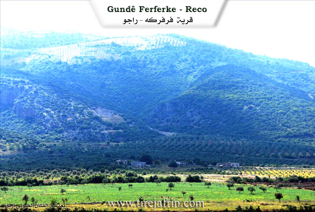 Photo of Firfirkê Jêrin