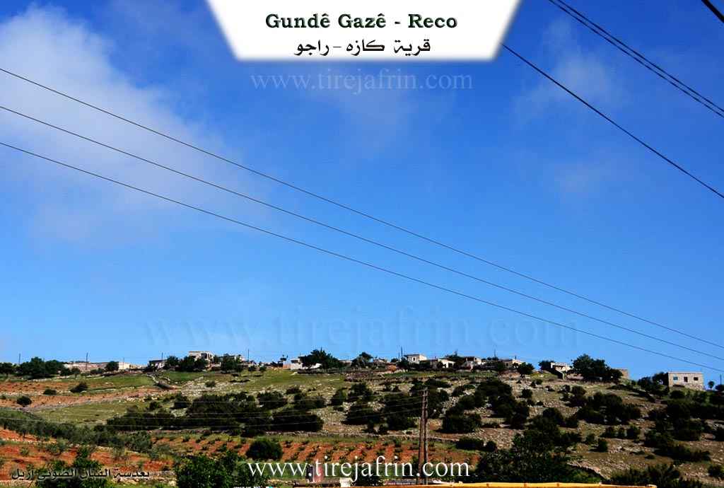 Photo of Gazê - Reco