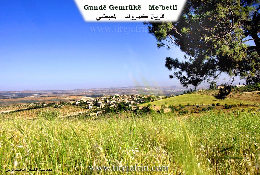 Photo of Gemrûkê