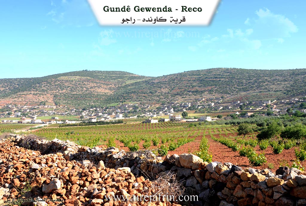 Photo of Gewenda