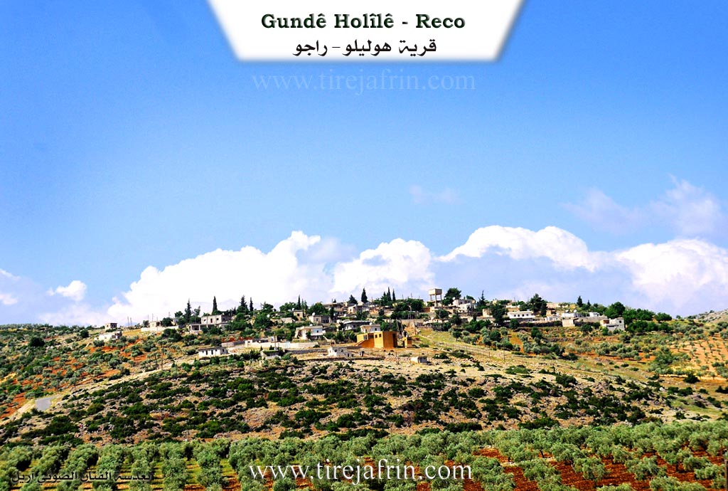 Photo of Holîlê