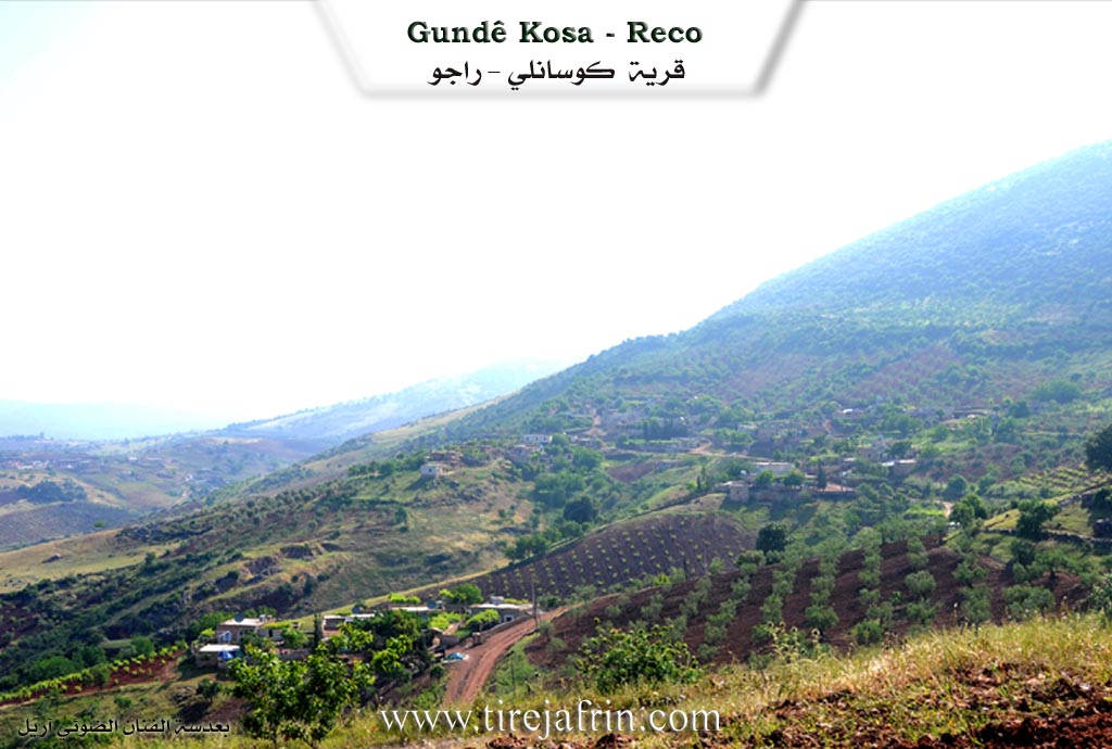 Photo of Kosa