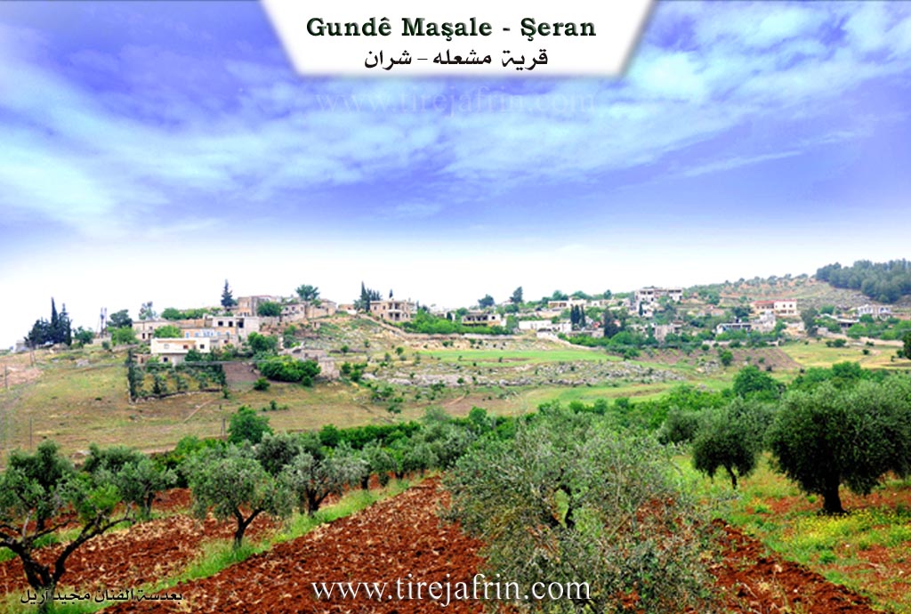 Photo of Meşalê