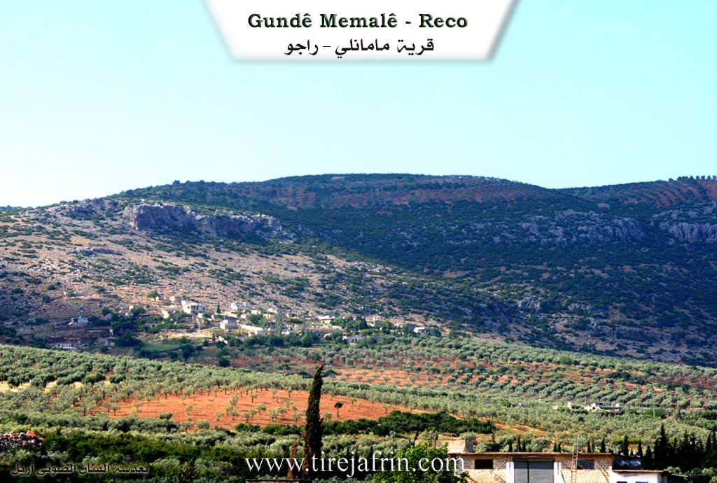 Photo of Memala