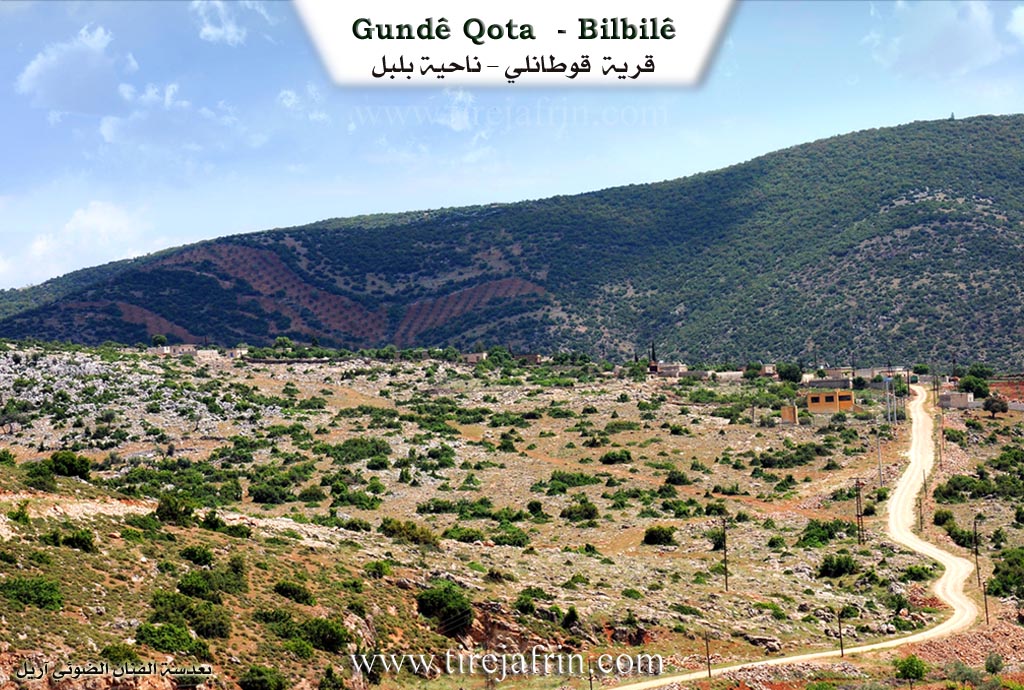 Photo of Qota