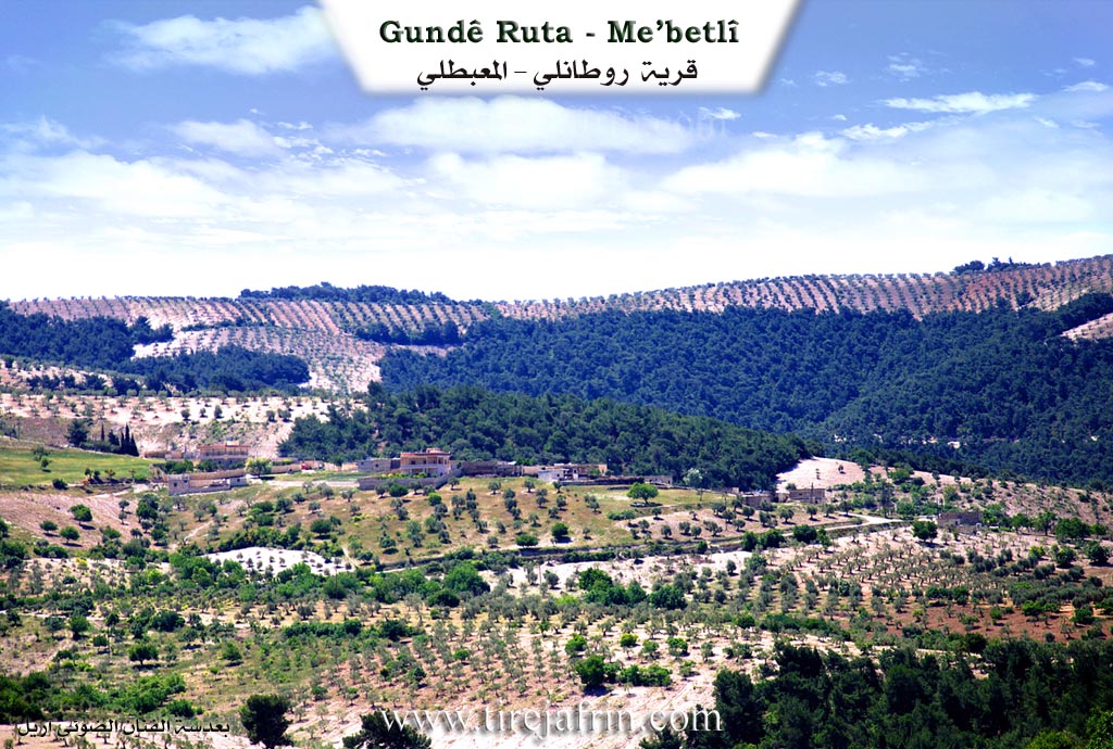 Photo of Rûta
