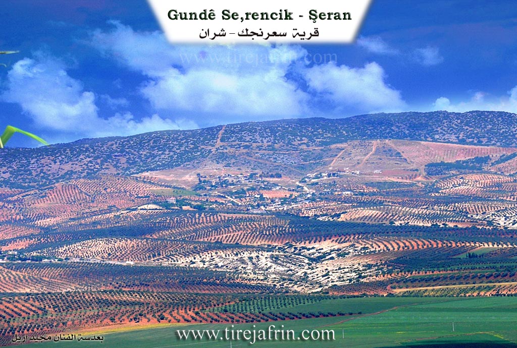 Photo of Serîncekê