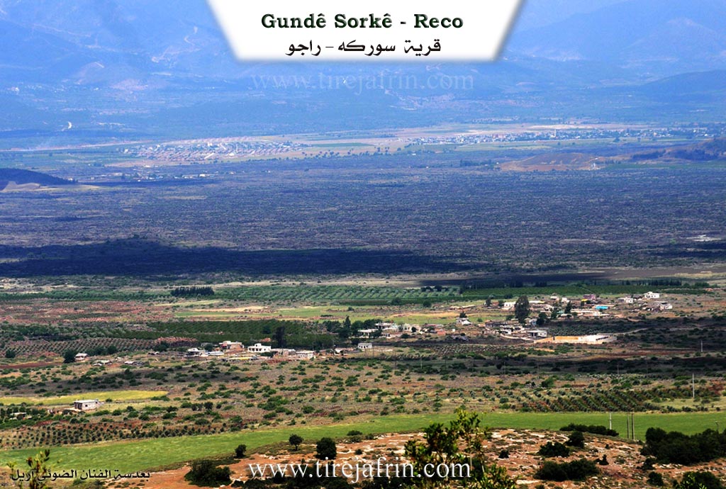 Photo of Sorkê