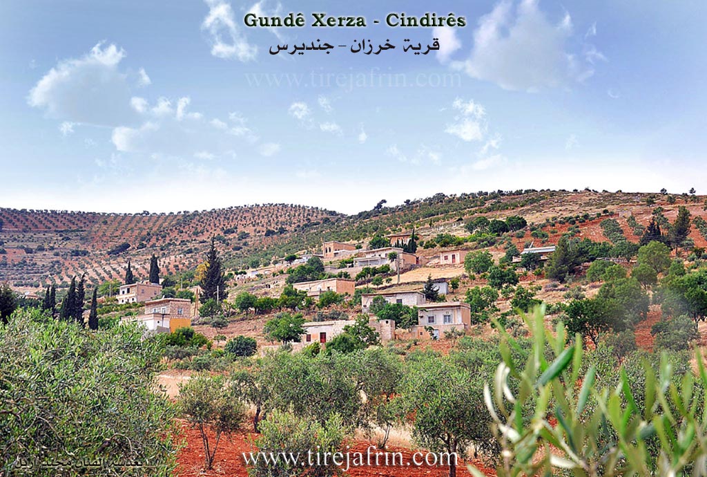 Photo of Xerza
