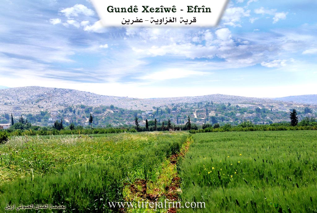 Photo of Xezîwê