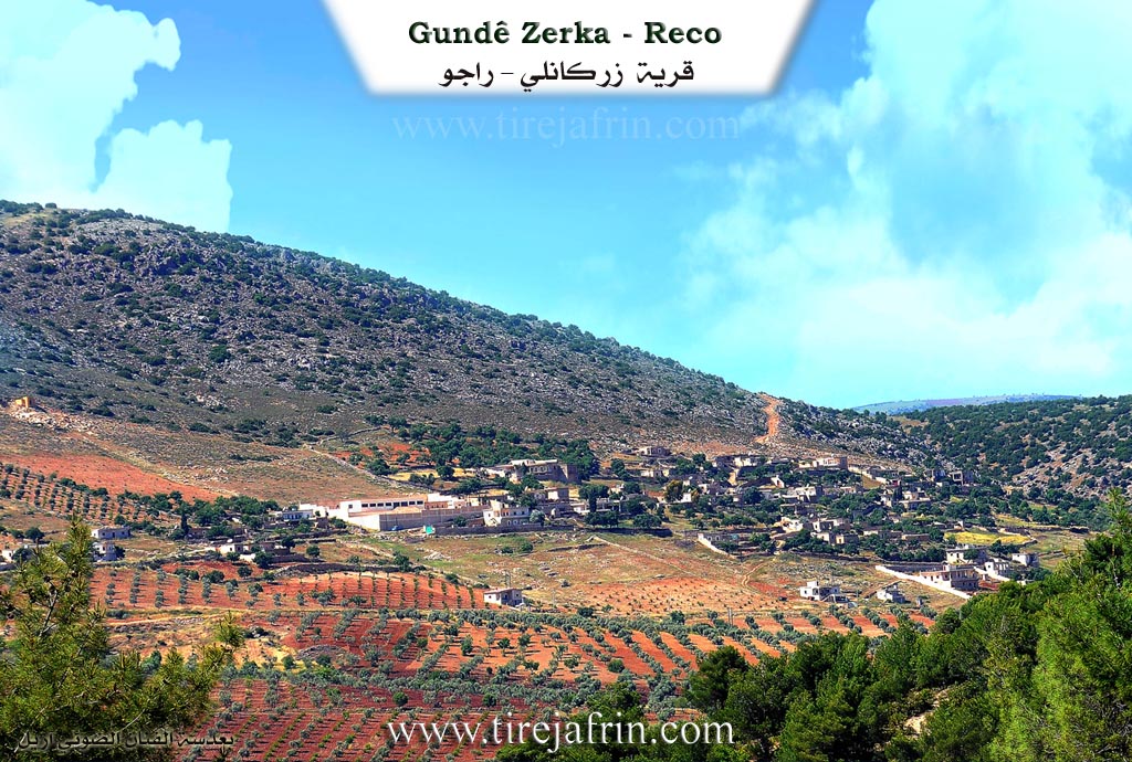 Photo of Zerka