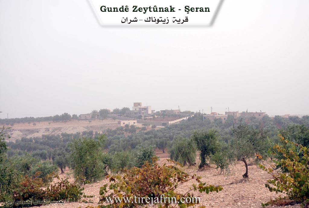 Photo of Zêtûnekê