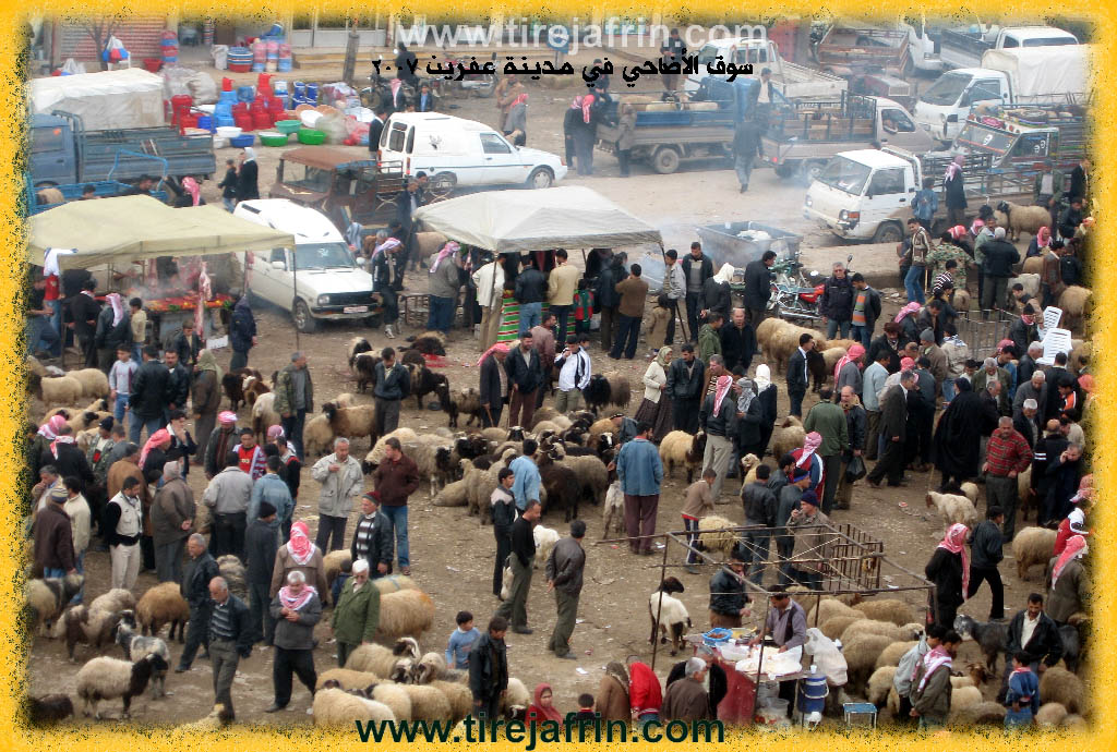 Photo of Efrîn