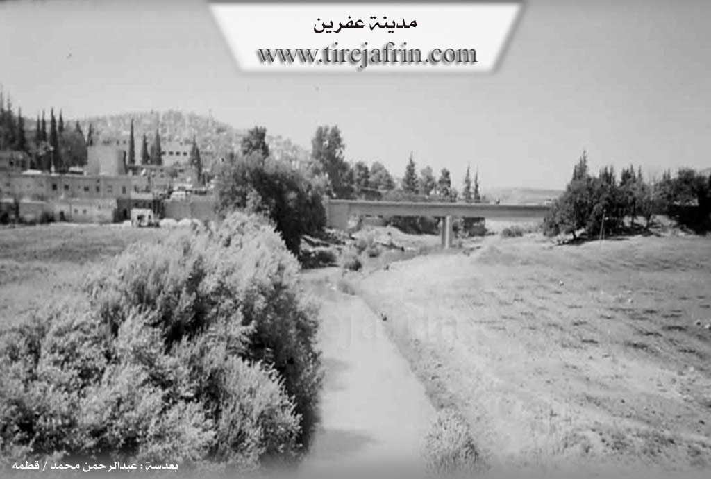 Photo of Efrîn