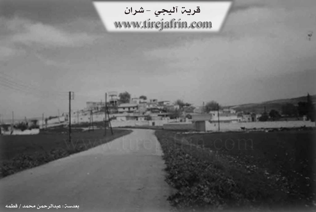 Photo of Alciya