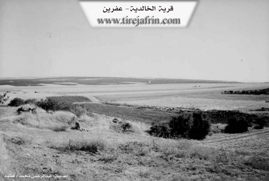 Photo of Xalta