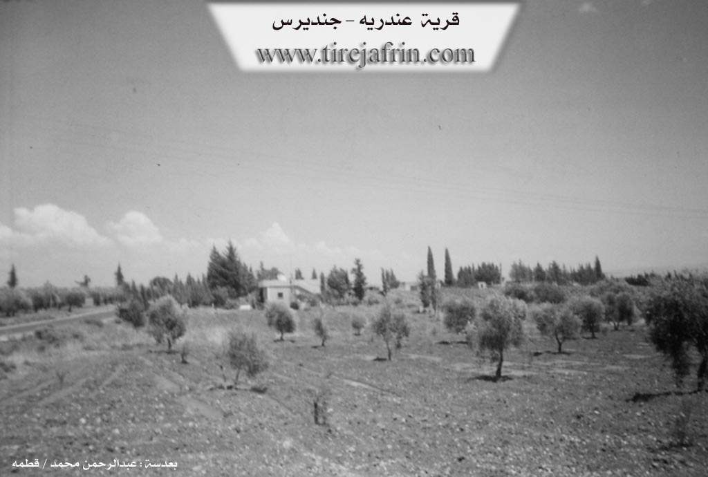 Photo of Andariya