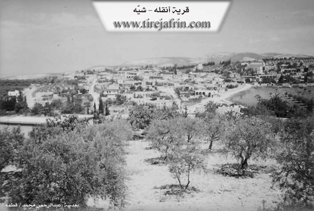Photo of Anqelê