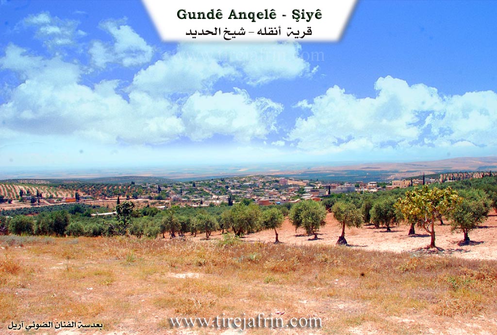 Photo of Anqelê