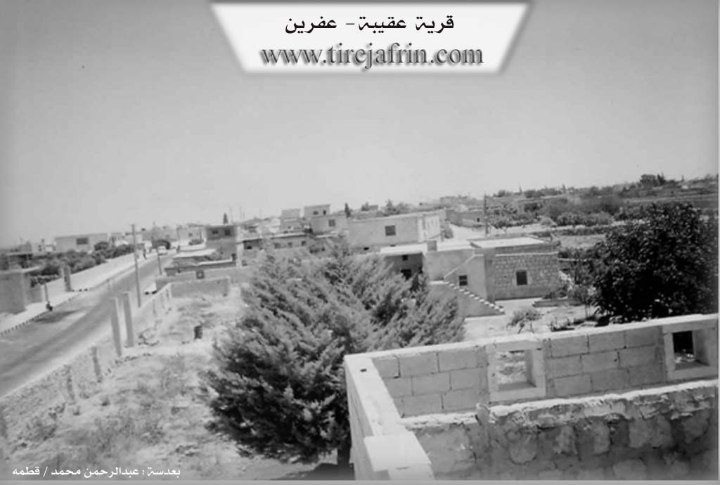 Photo of Aqîbê