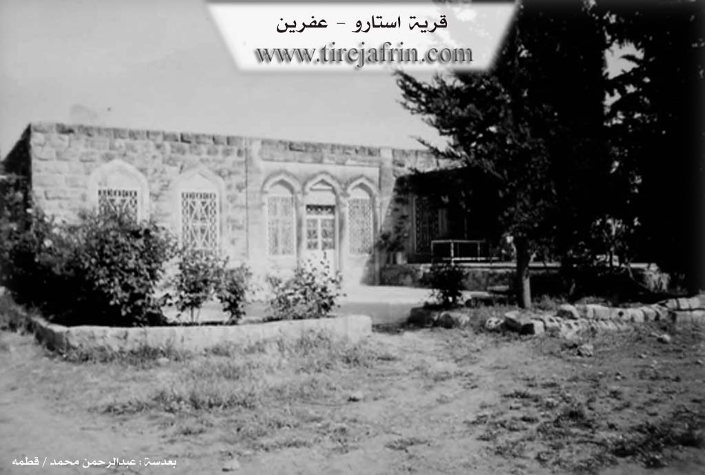 Photo of Astêr