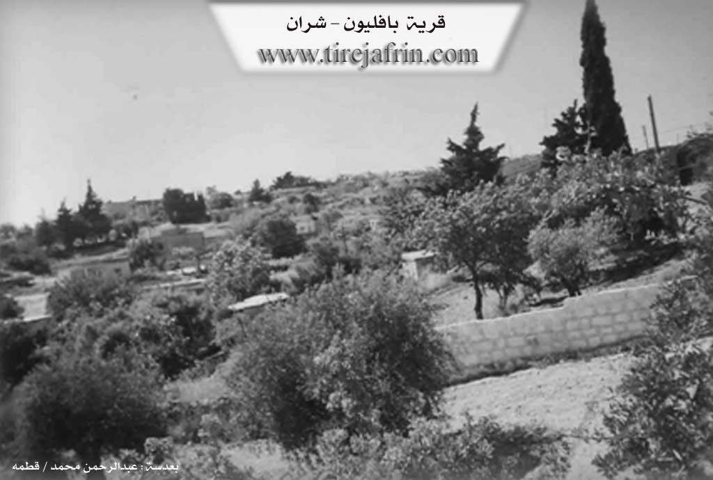 Photo of Baflûnê