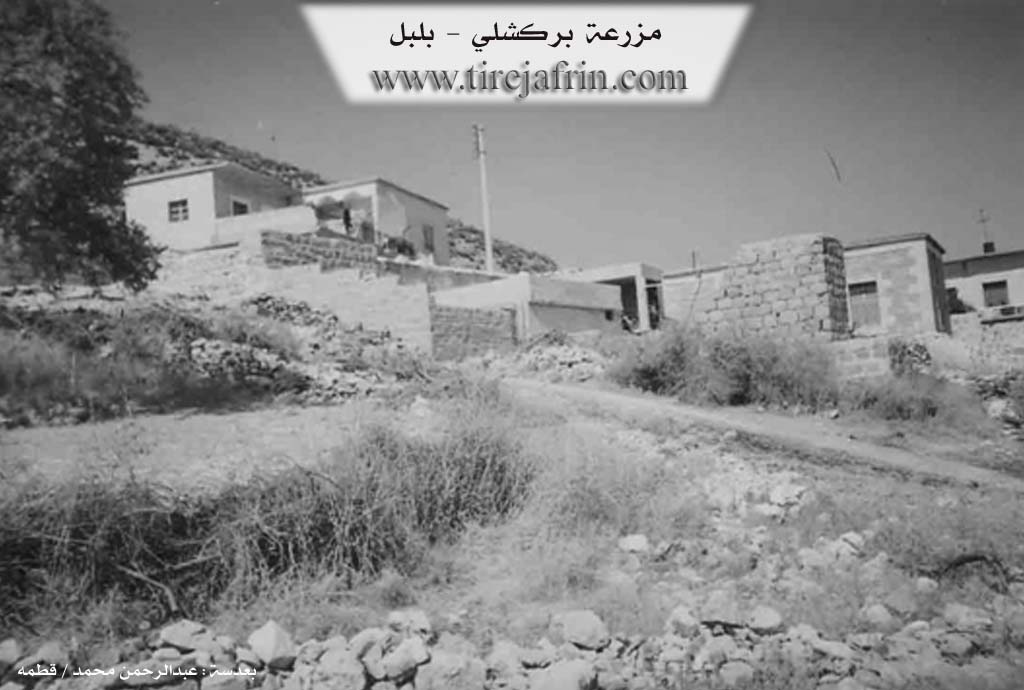 Photo of Berkaşê