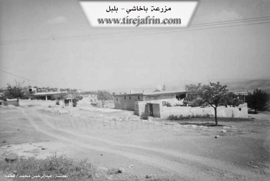 Photo of Baxaşê