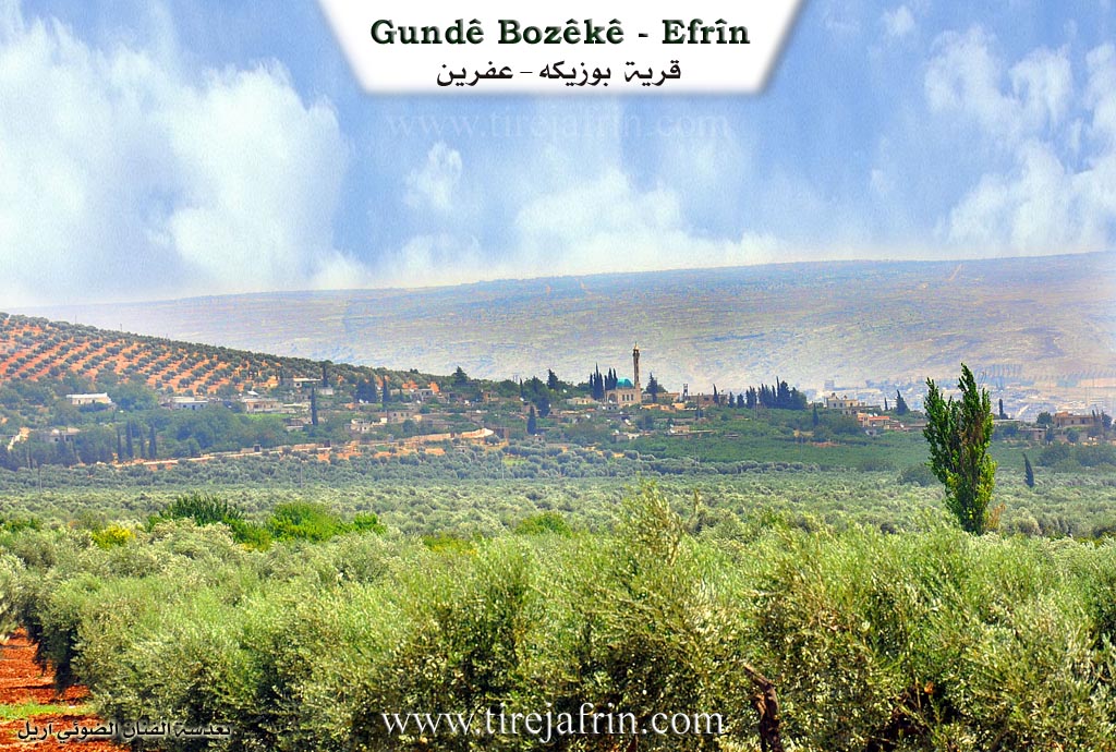 Photo of Bozikê