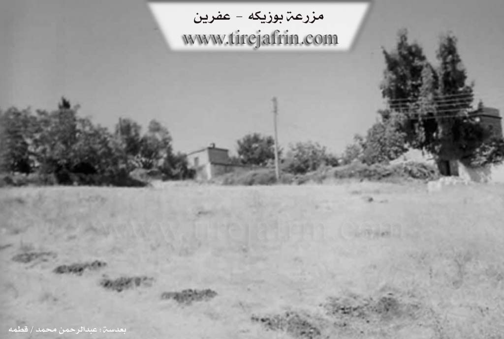 Photo of Bozikê