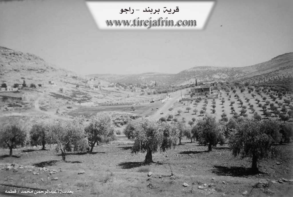 Photo of Berbenê