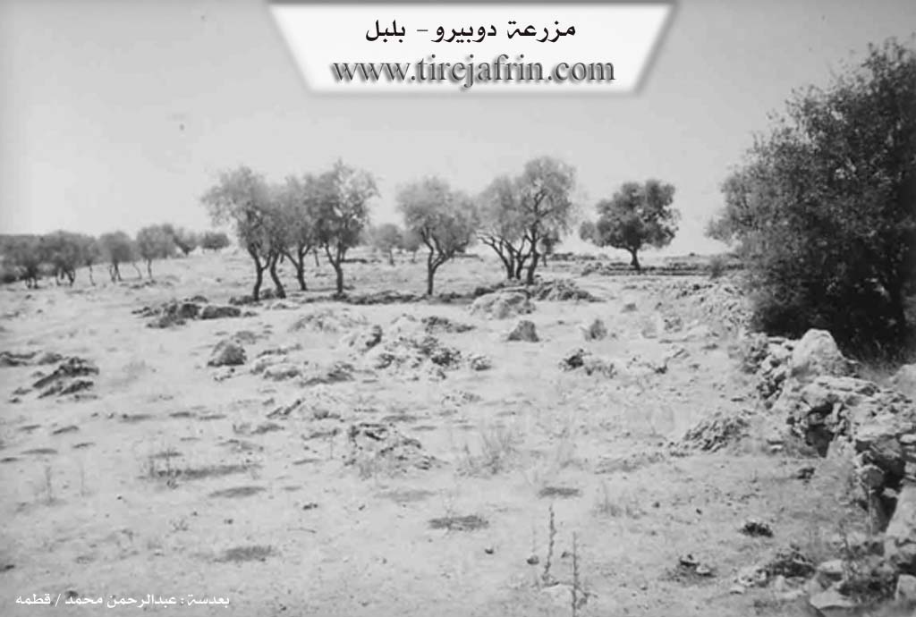 Photo of Dupîra
