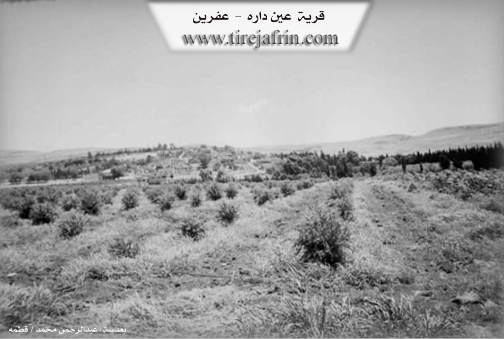 Photo of Endarê
